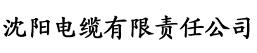 亚洲色综合视频一区电缆厂logo